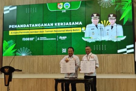 Di Usia 51 Tahun Syaiful Akhirnya Merasakan Jalan Aspal dan Terang di Desa Kelahirannya di Bandealit, Jember 